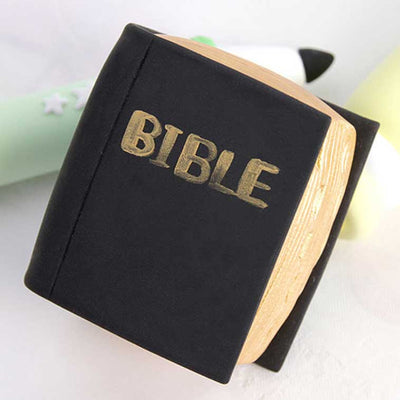 Modern Bible Doljabi Item